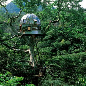 TREEHOUSE LIVING: KEEPING YOUR HEAD IN THE CLOUDS