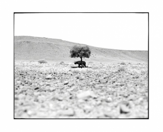 Adi Bensmaia - Bush Patrol 1