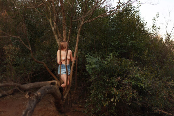 Near Dark by Olivia Mortimer