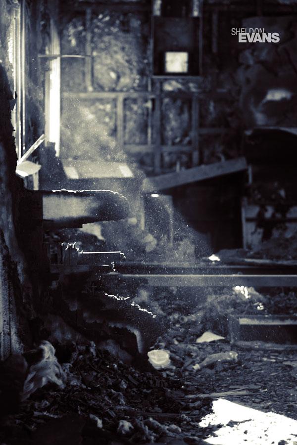'Burnt Train' by Sheldon Evans