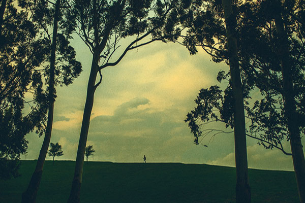 'Cloudscape' - Daniel van Flymen