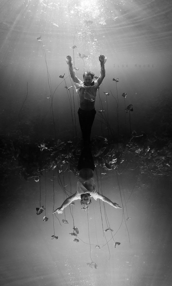 'The Curtain Call' by Ilse Moore 