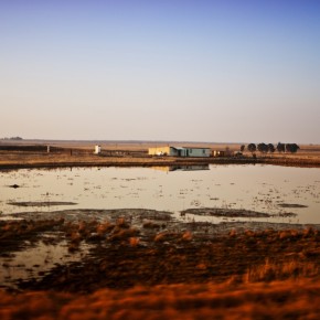(C)SIYABONGA MKHASIBE_ LANDSCAPE