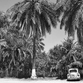 TRANCOSO